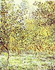 Lemon-Trees Bordighera by Claude Monet